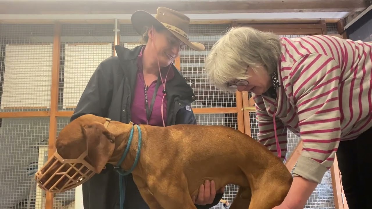 Atlas first shiatsu session