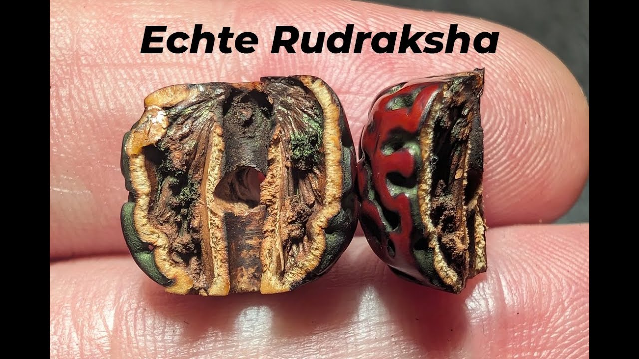 Tibetische Rudraksha 108 #tibet #rudraksha #mala #malakette