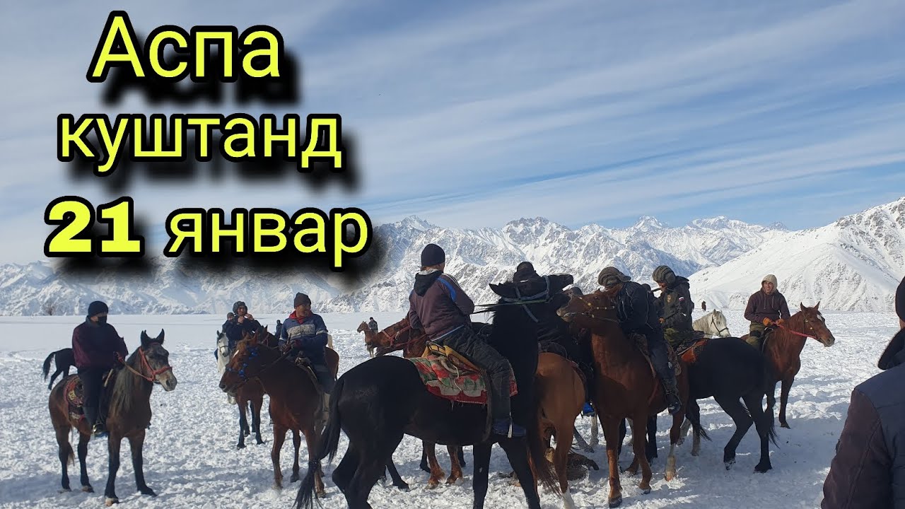 21 январ 2026 аспа куштанд дар бузкаши н Лахш 