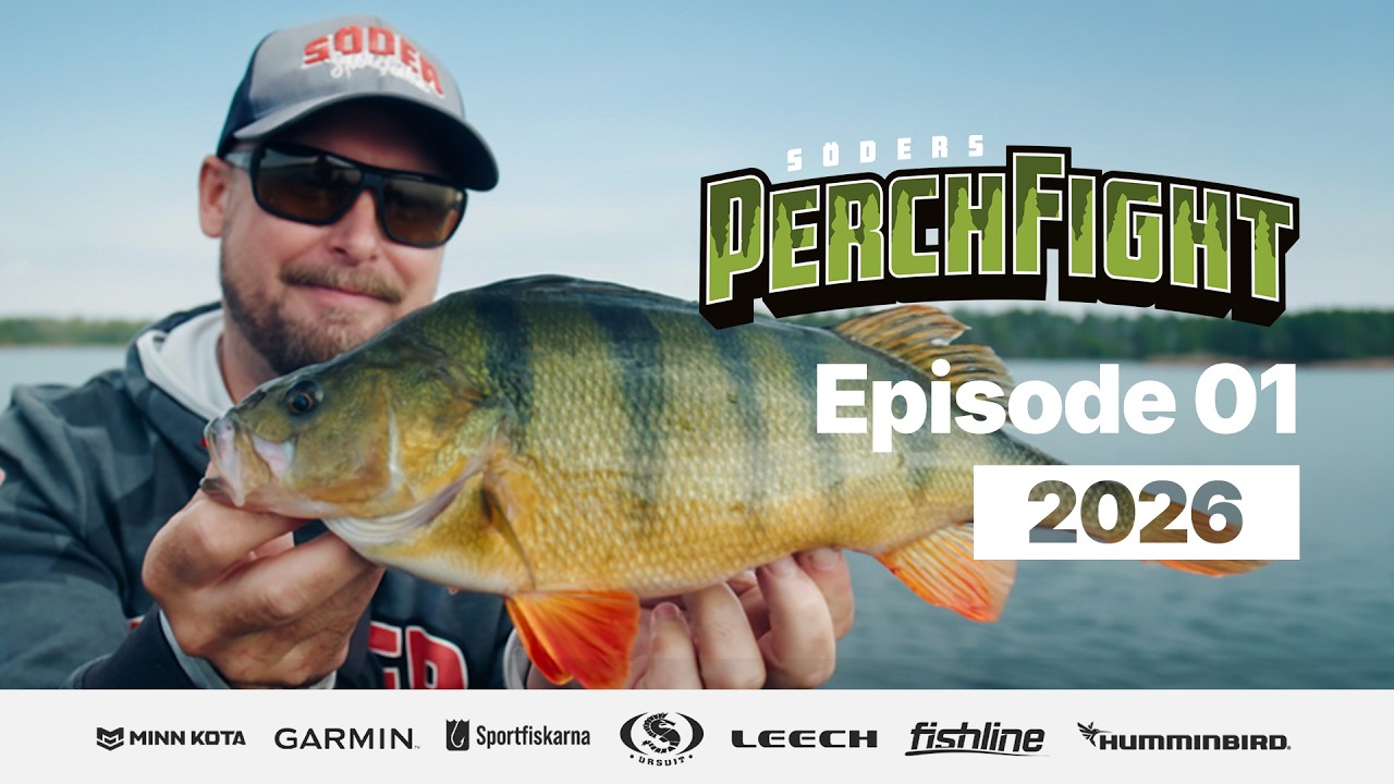 PerchFight 2026 | Episode 1