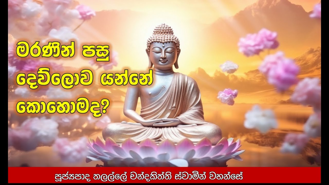 මරණින් පසු දෙව්ලොව යන්නේ කොහොමද? #bana #pirith #darmadesana
