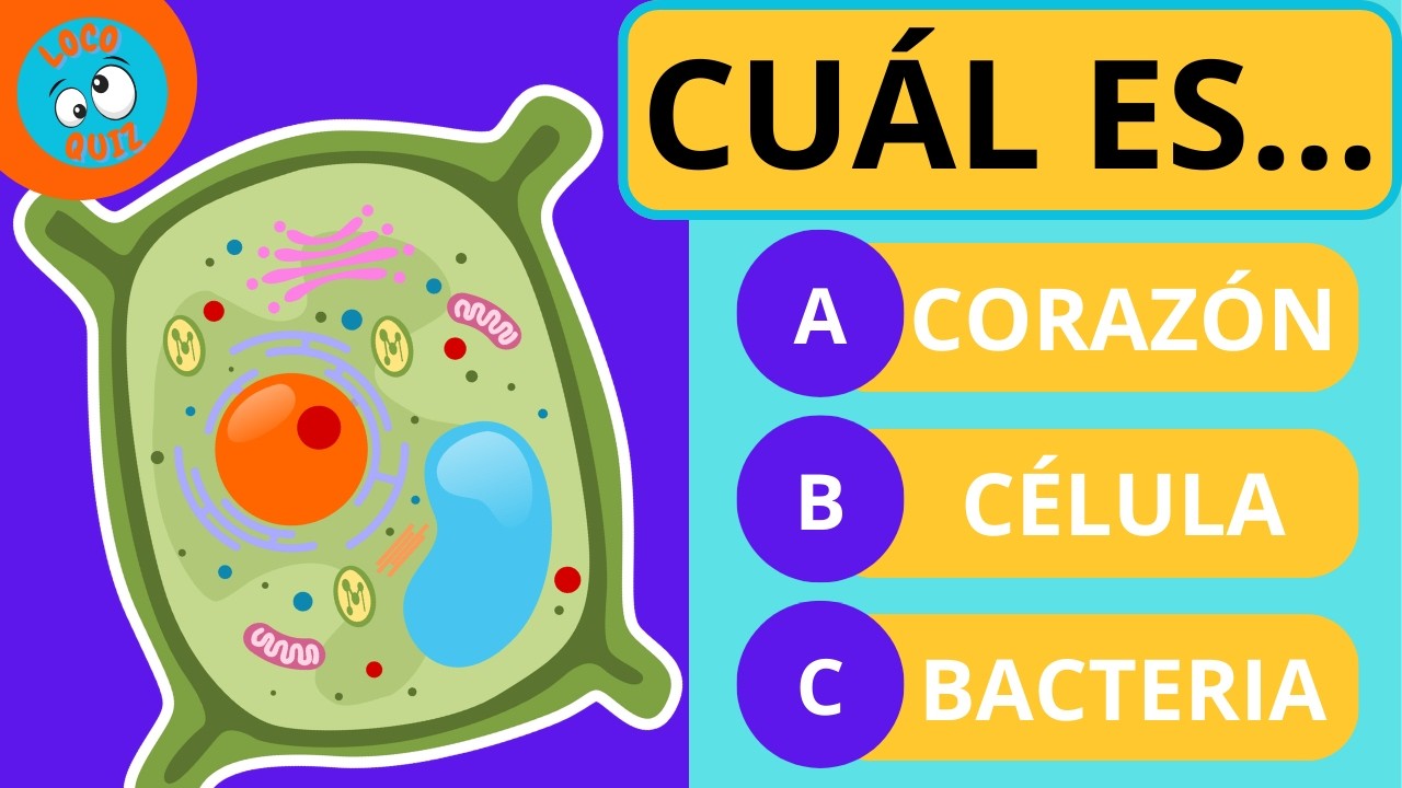 🧪 Reto Celular: 20 Preguntas que Pondrán a Prueba tu Cerebro 🧠💥