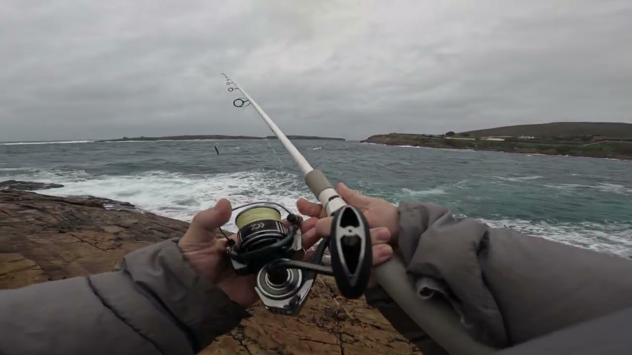 QUE PEZ ES??  ENTRANDO OTRO TEMPORAL EN GALICIA PESCAMOS UNA NUEVA ESPECIE A SPINNING.