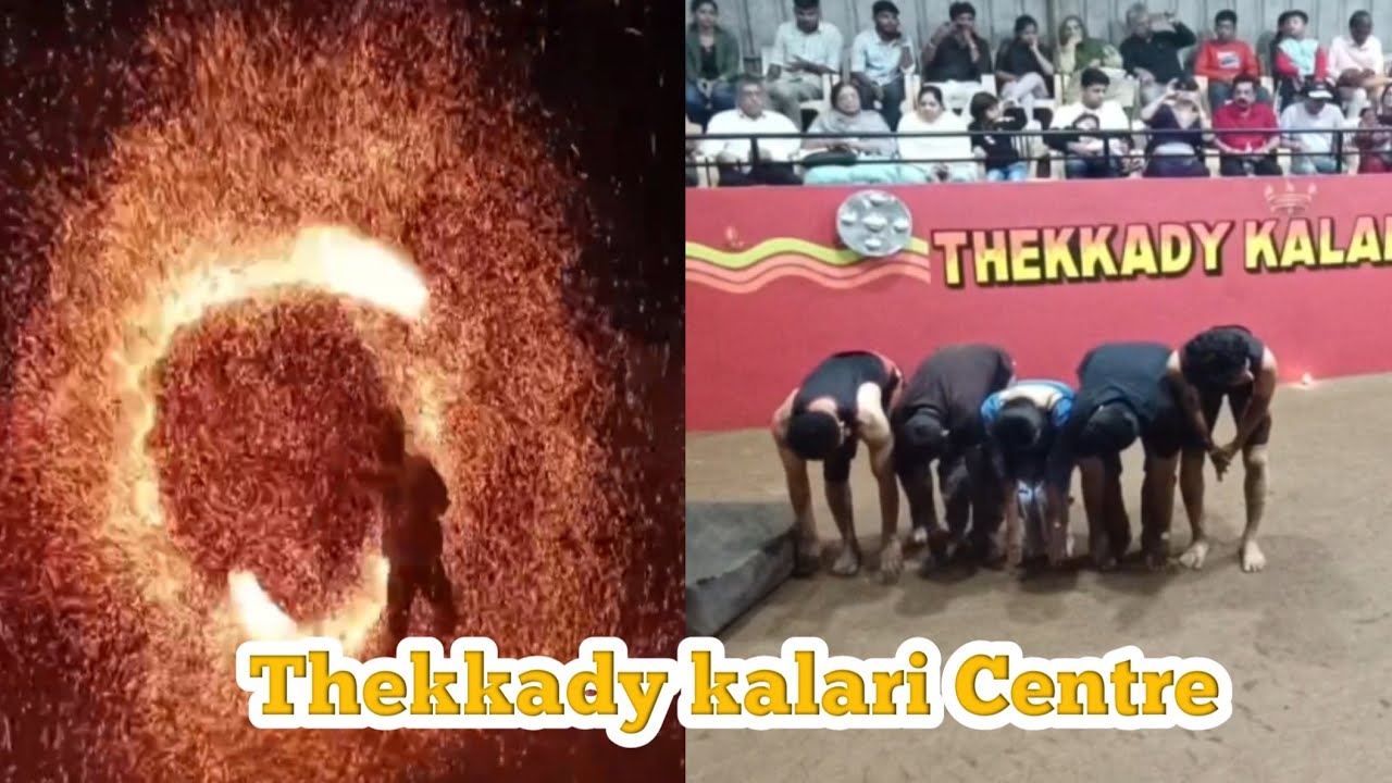 Thekkady Kalari Show || Kerala Traditional Martial Art || Amazing kalari martial art 2025
