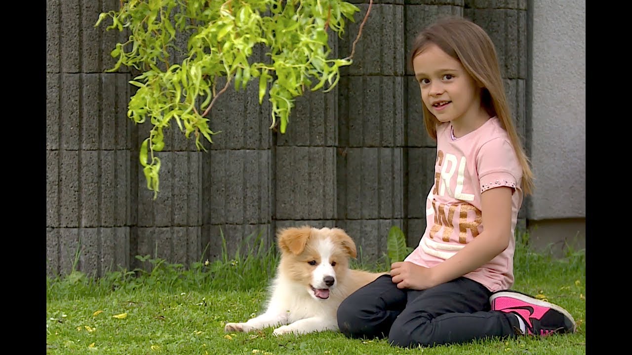 Die Schmid Seidls bekommen einen Hund