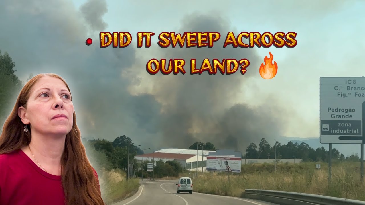 DROUGHT AND MASSIVE WILDFIRES THIS YEAR IN PORTUGAL | PEDROGAO GRANDE FIRES