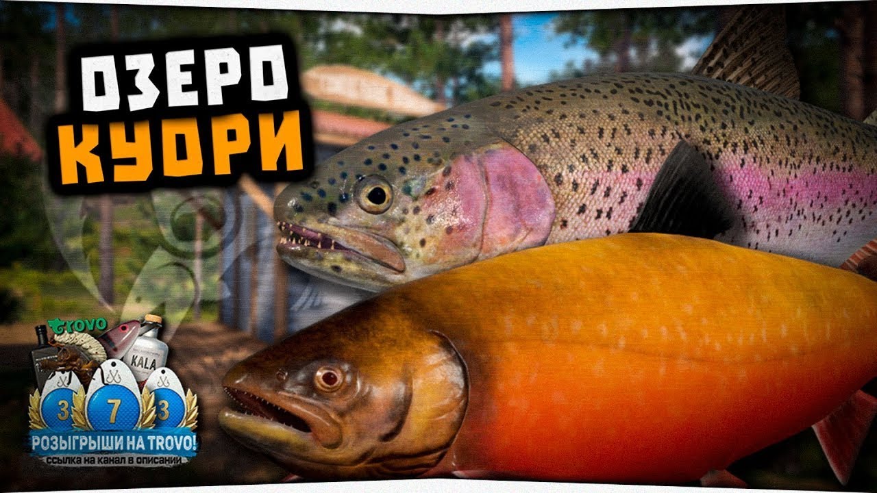 Озеро Куори • Охота на Радужную Форель и Гольца Куорского • Русская Рыбалка 4
