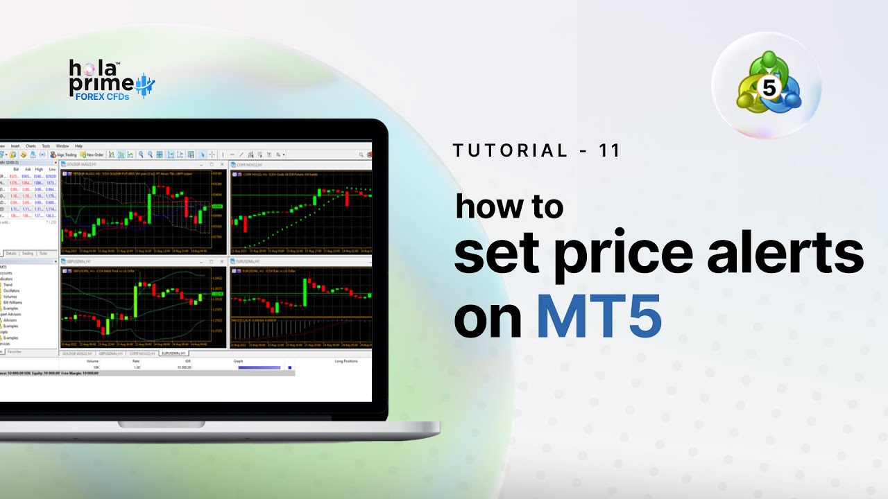 How to Set Price Alerts in MetaTrader 5 (MT5) | Hola Prime