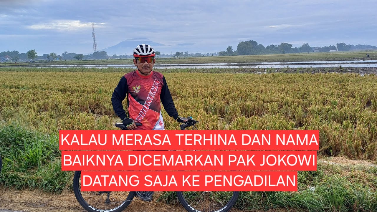 KALAU  MERASA TERHINA  NAMA BAIKNYA PAK JOKOWI DATANG SAJA KE PENGADILAN