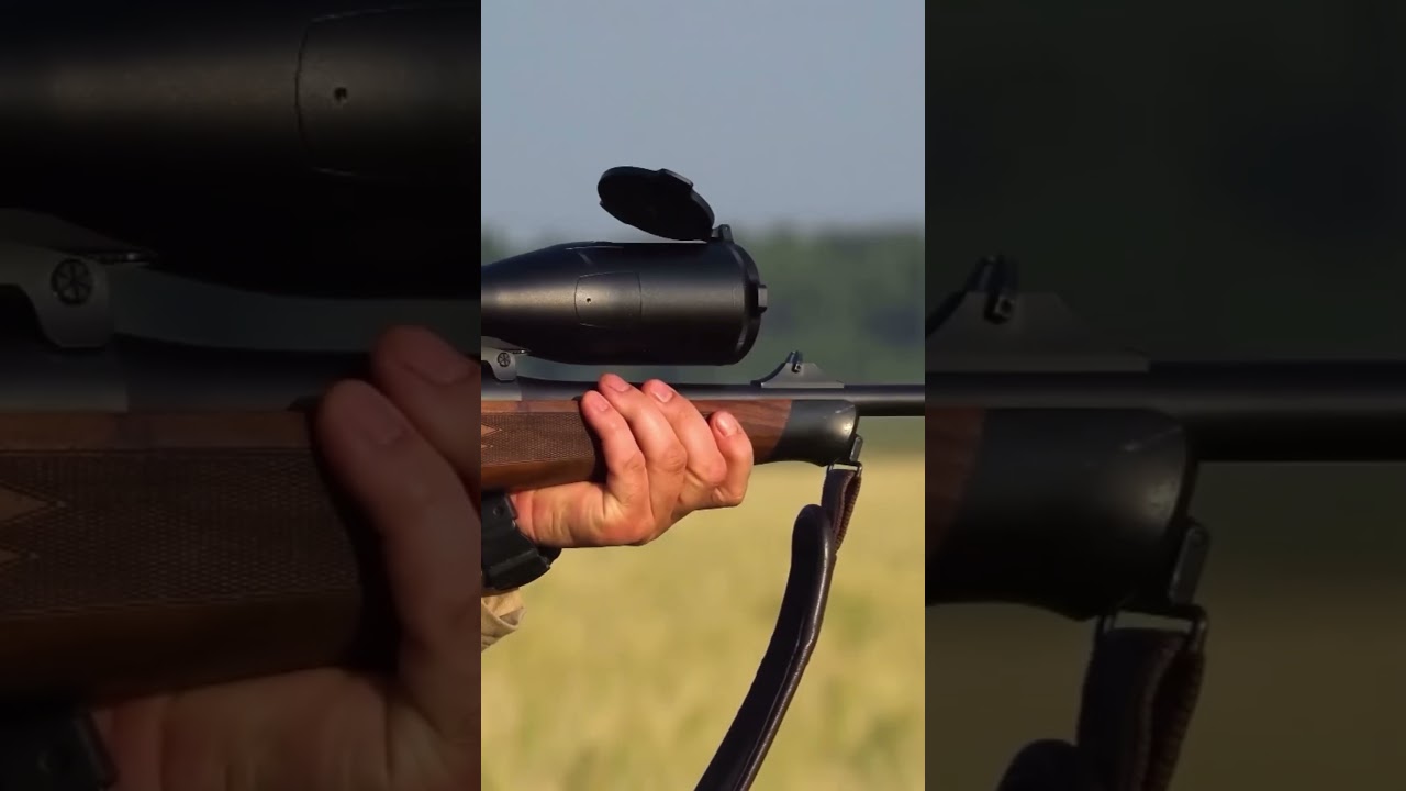 Awesome hunt shot - roe deer done