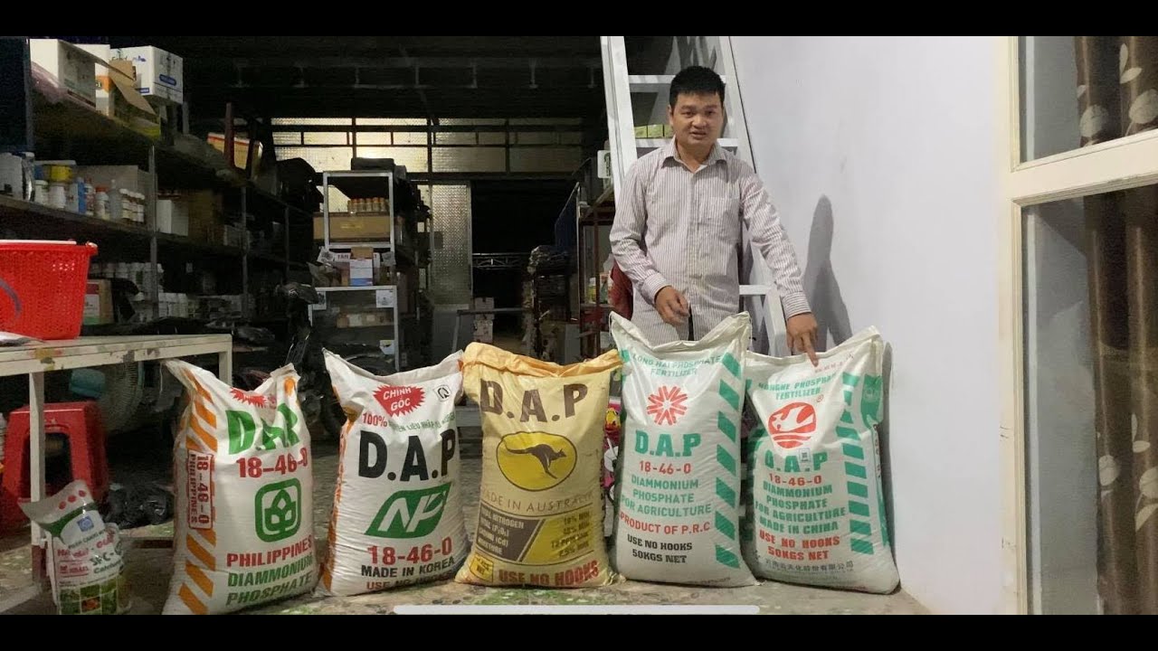 299: DAP 18.46 giả lừa đảo bà con thế nào? Cách nhận biết DAP THẬT GIẢ| Kỹ sư Thái - 0986 550 899