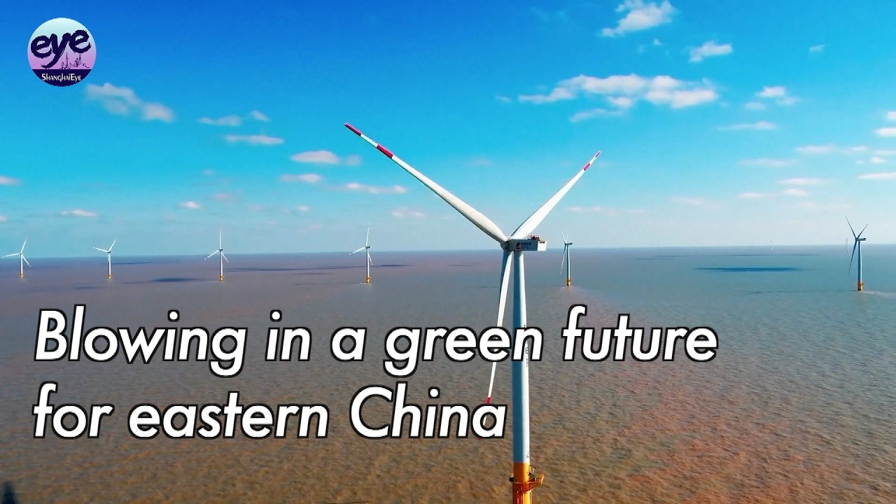 Offshore wind power propels China's green transition