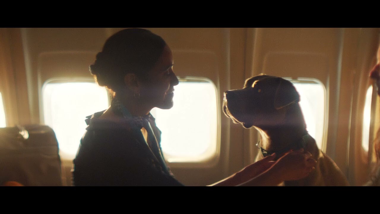 BARK | 100% Real Airline for Dogs | Dogs in ADS | DiA-102