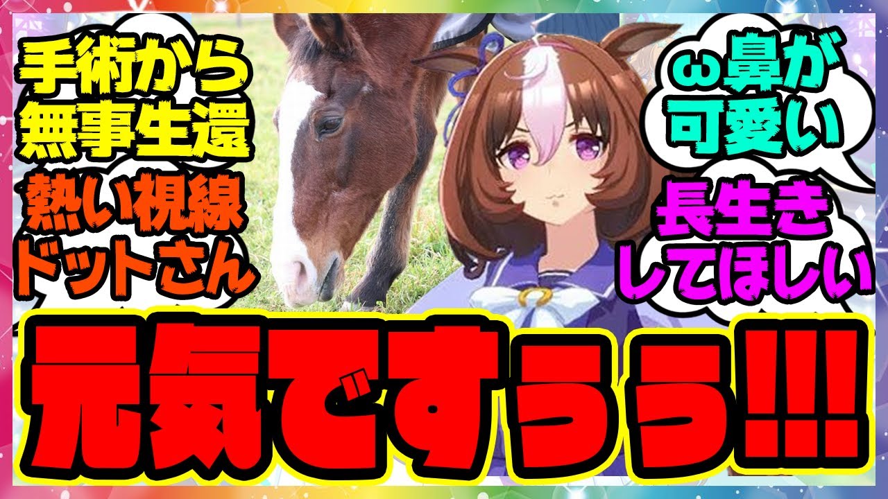 『今年も元気なドットさんが可愛すぎると話題になってる件』に対するみんなの反応集 まとめ ウマ娘プリティーダービー レイミン メイショウドトウ