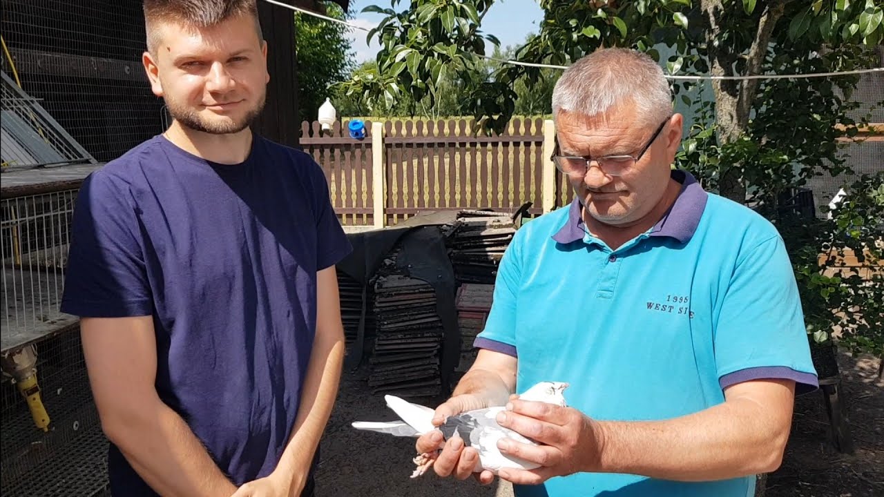Dariusz & Dariusz Jarecki 0417 Milicz. Hodowla z sukcesami i pasją ale nie za wszelką cenę.