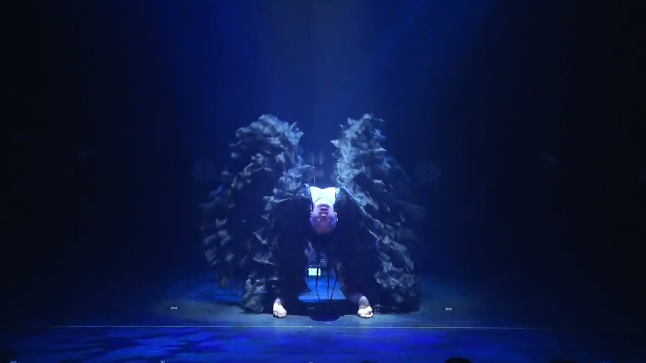 Contortion ERi  performance【NektureZ2023】