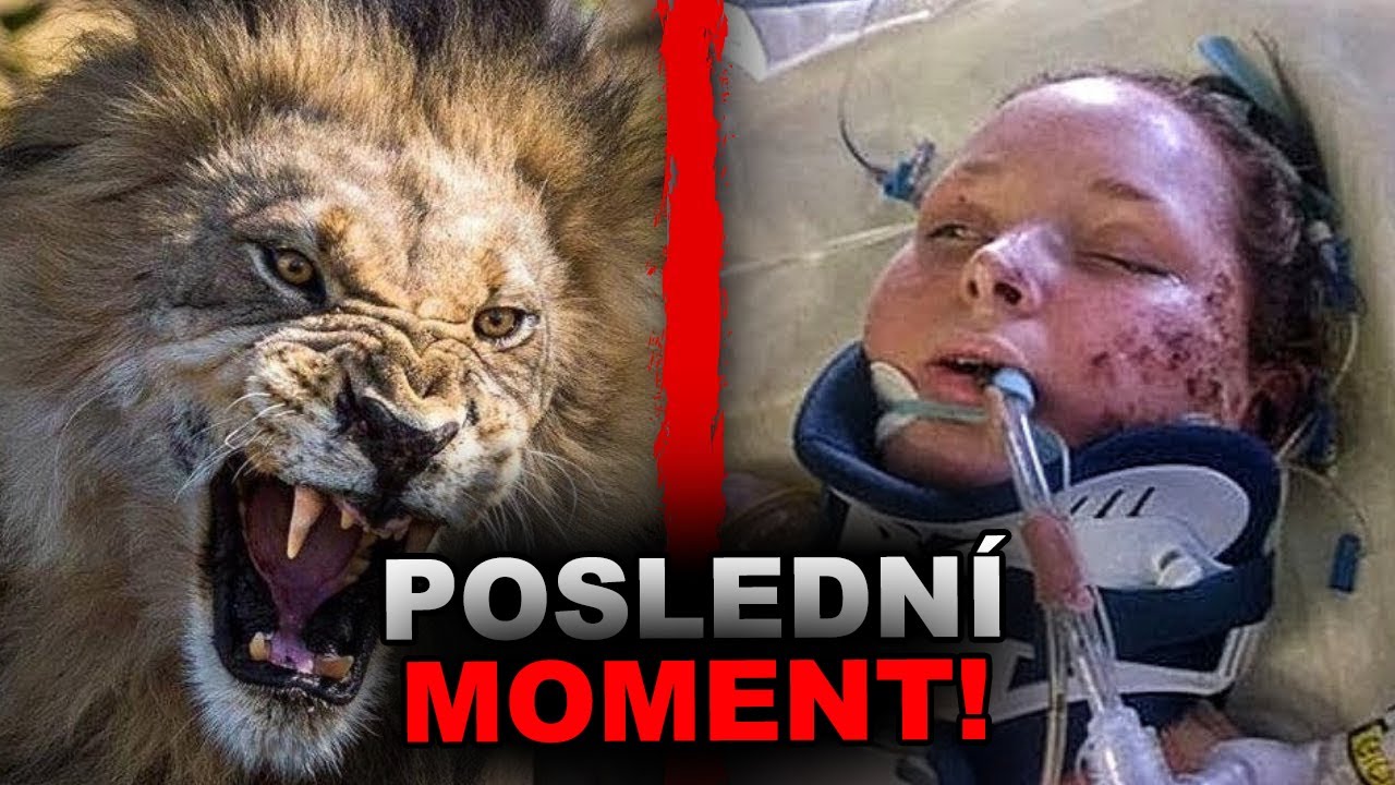 PRŮVODKYNĚ SI MYSLELA, ŽE DOKÁŽE ZKROTIT LVA!