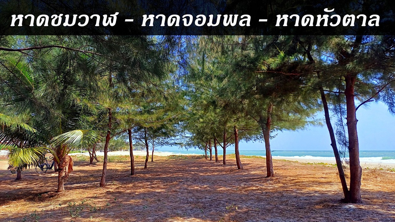 หาดชมวาฬ-หาดจอมพล-หาดหัวตาล เพชรบุรี 2569