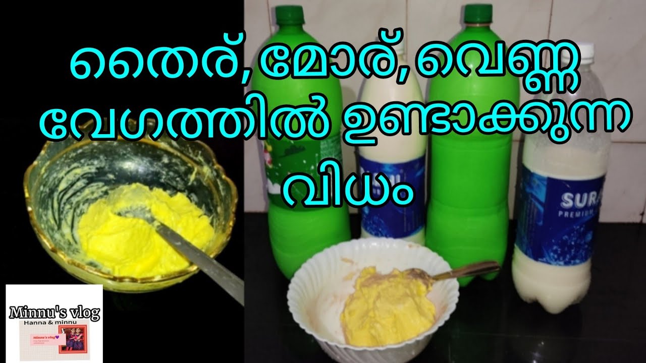 തൈര്, മോര്, വെണ്ണ എന്നിവ വേഗത്തിൽ ഉണ്ടാക്കുന്ന വിധം/Minnu's vlog/Hanna & minnu.