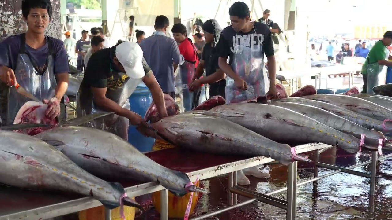 GENSAN TUNA FISHPORT