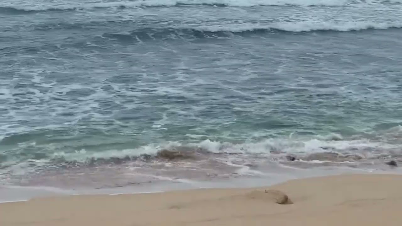 Calming Beach Waves & Blue Sea 🏝🌊| Relaxing Nature Sounds