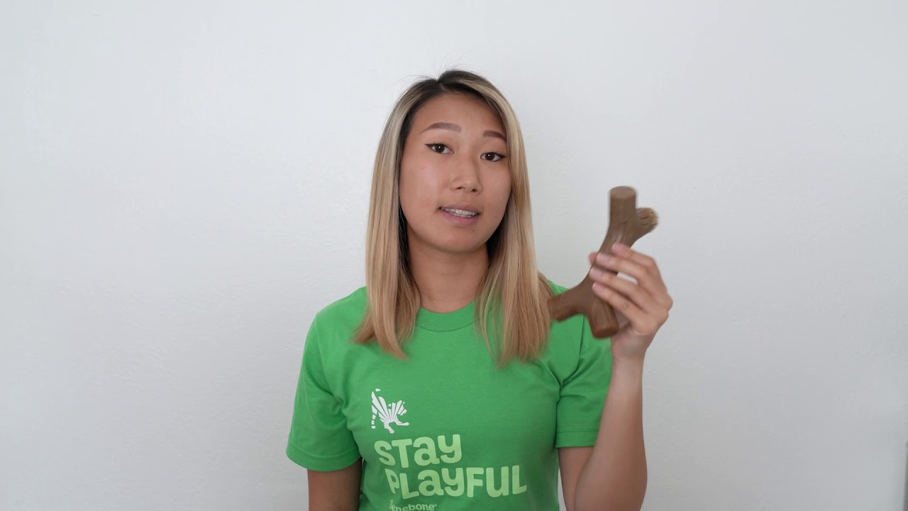 When To Replace Your Benebone Dog Chew Toy