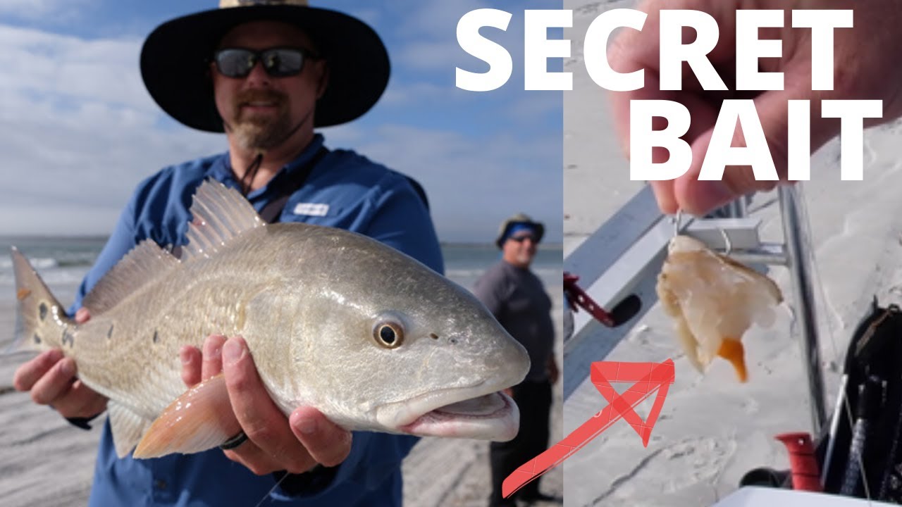 Florida Surf Fishing. Secret Bait Surf Fishing Florida. How to surf fishing Jacksonville Florida.