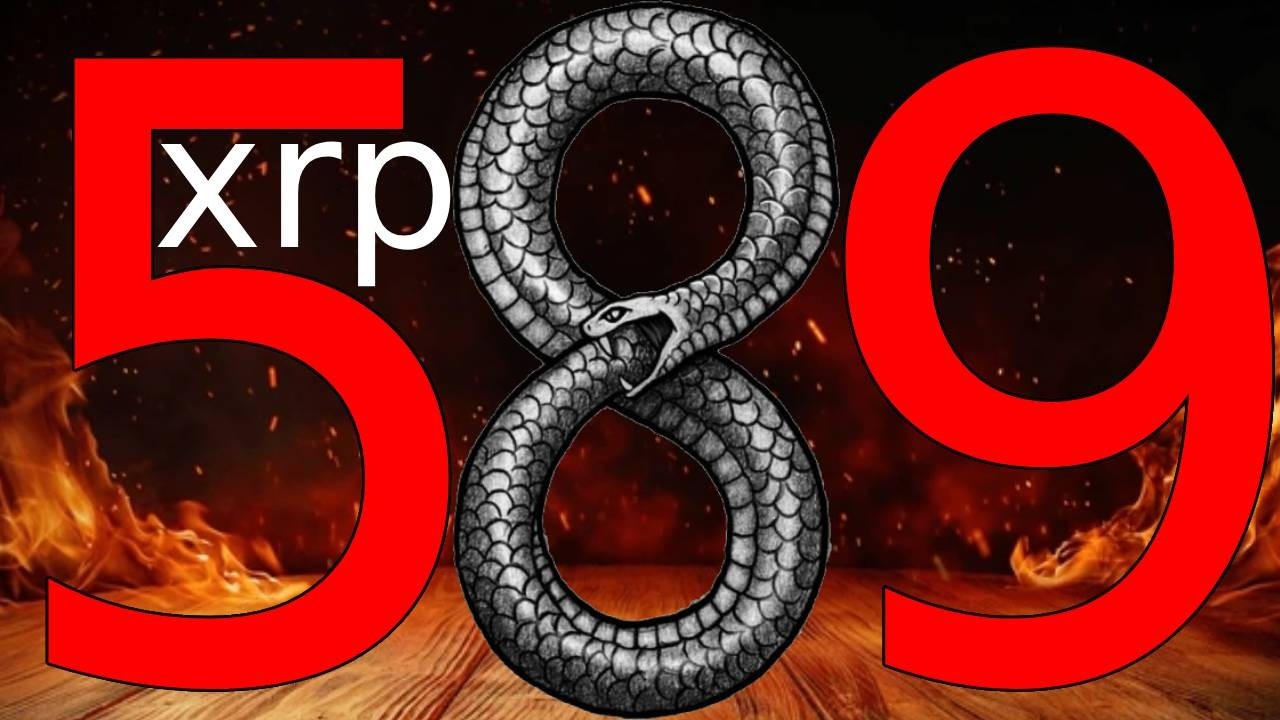 Ripple XRP 589 IS PROGRAMMED 100%!!!