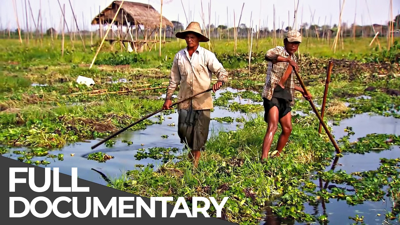 A World Without Solid Ground: Floating Life on Inle Lake | Free Documentary