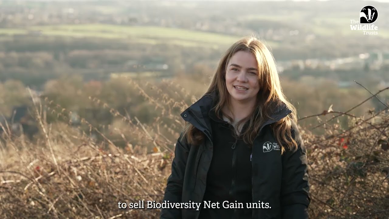 Biodiversity Net Gain with The Wildlife Trusts