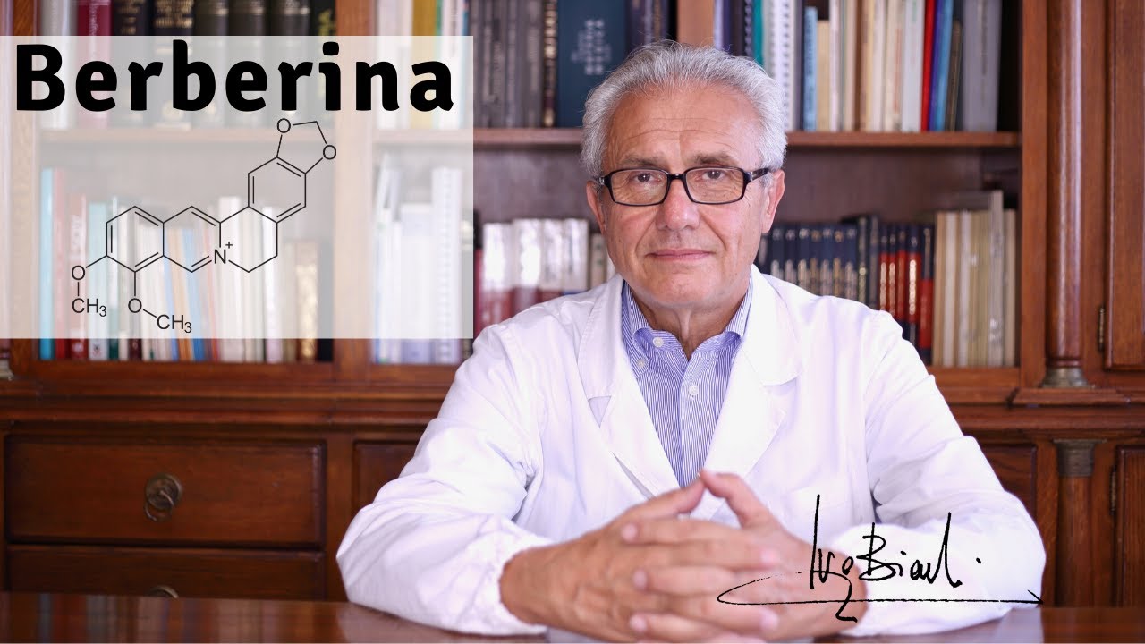 Berberina, una meravigliosa molecola di Difesa Antivirale