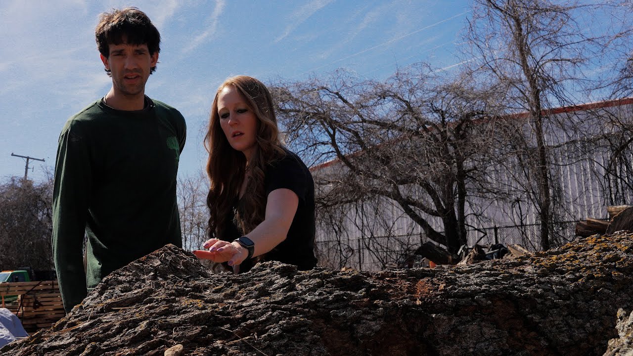 The American Dream Story of Urban Tree Merchants