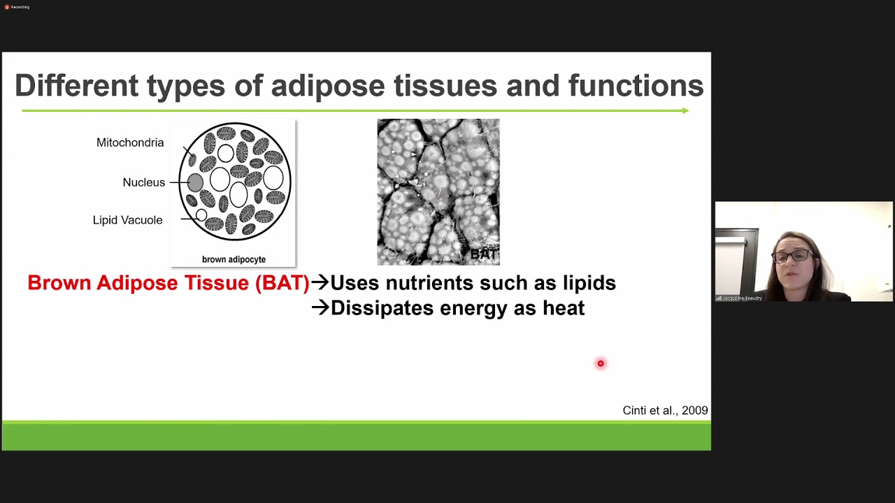 Faculty Lecture 2021 - Dr. Jacqueline Beaudry
