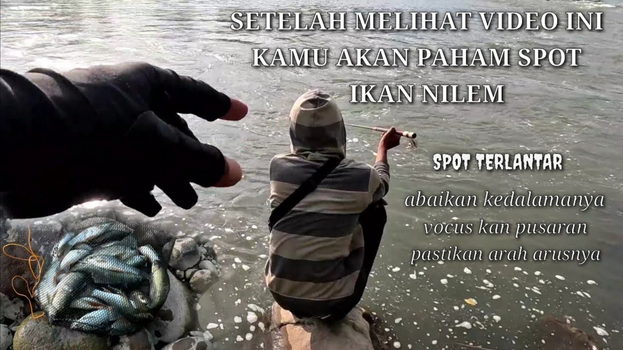 TERLIHAT DERAS TAPI TENANG ‼️ SPOT YANG DI ABAIKAN PEMANCING MENYIMPAN JUTAAN NILEM  / MANCING NILEM
