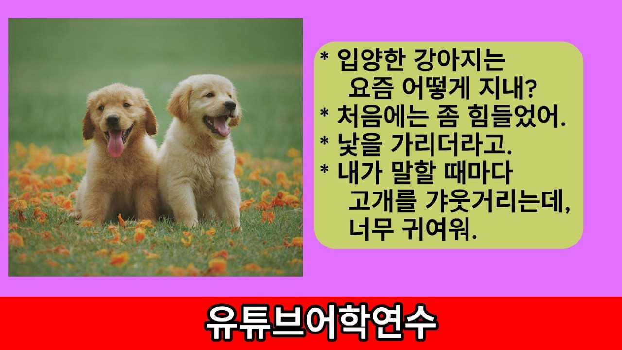 하지만 218. 