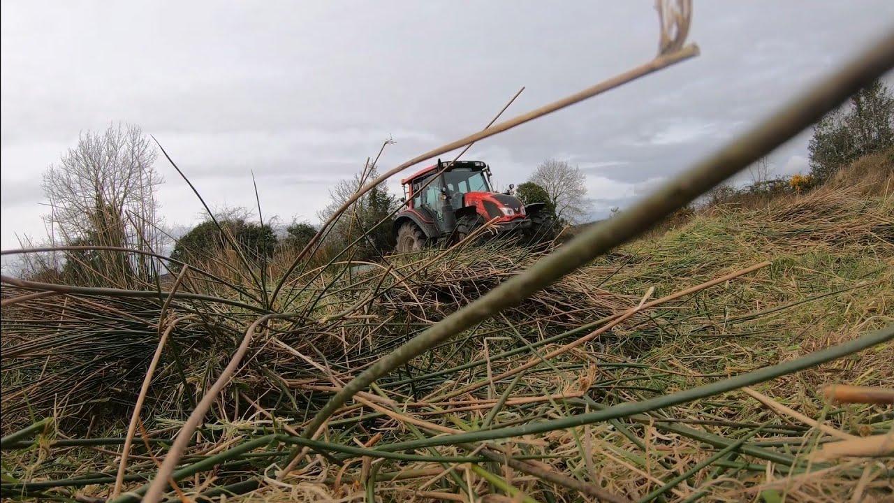 Topping Rushes With The Tractor - Valtra n103 + Kverneland disc mower - Gopro