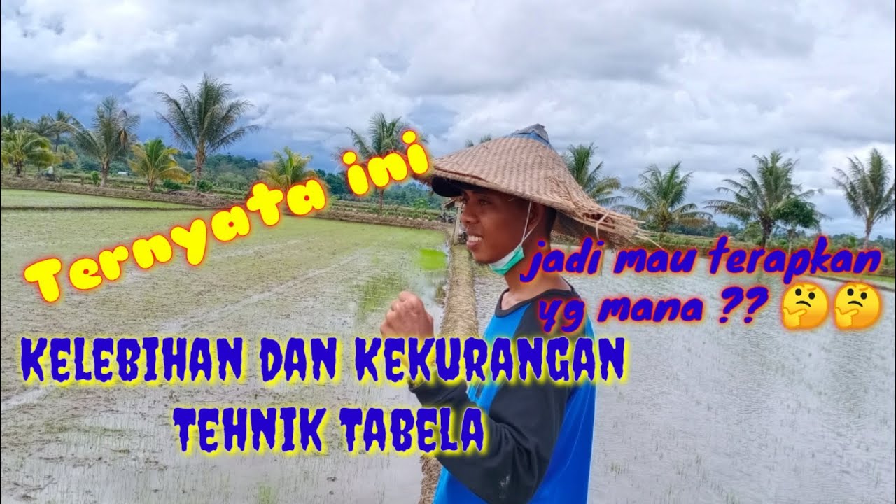 Kelebihan dan Kekurangan Tehnik TABELA padi.