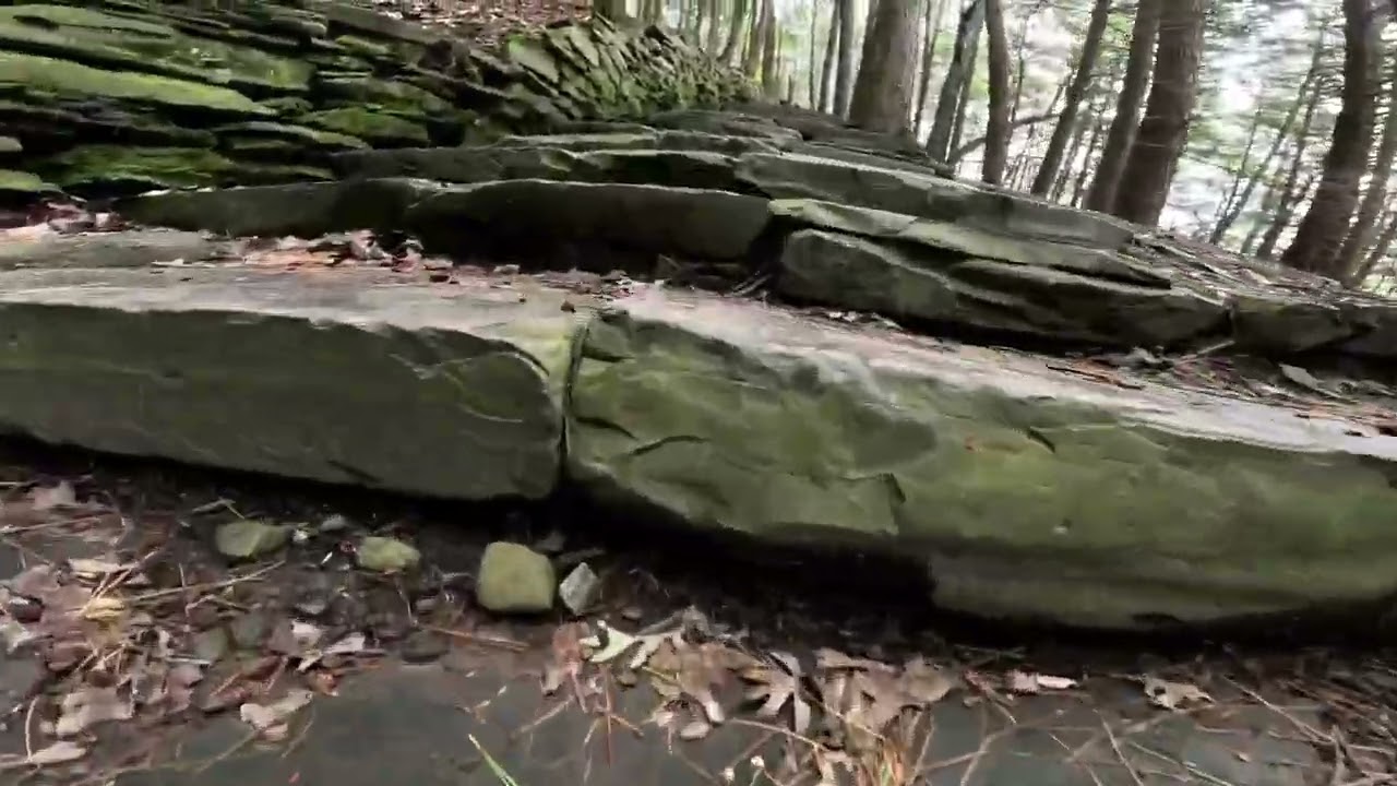 Cinematic Footage On GoPro Action Camera! #nature #usa #shorts #goprohero11