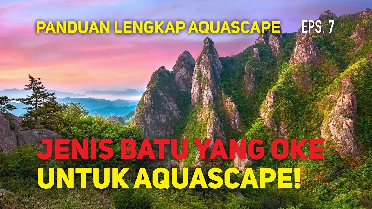 Jenis Batu yang Aman untuk Aquascape - Episode 7