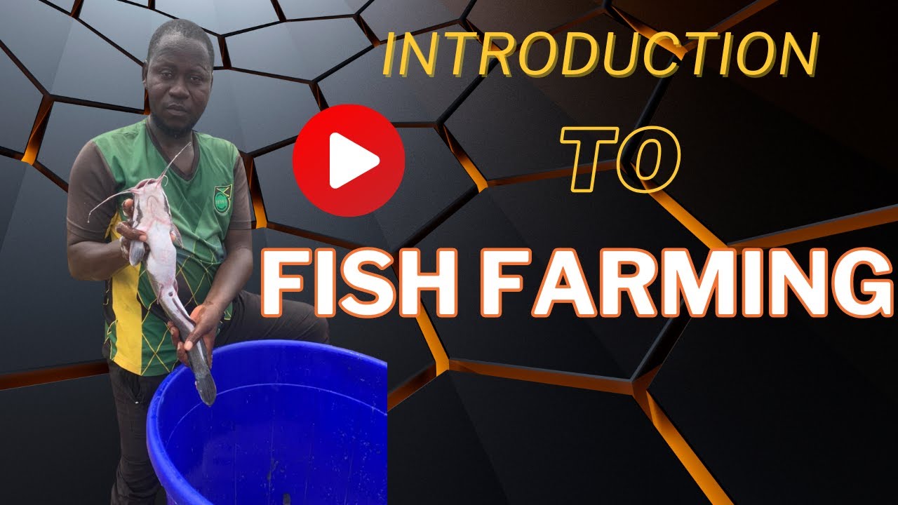 Introduction to Fish Farming: Types, Benefits, and Importance