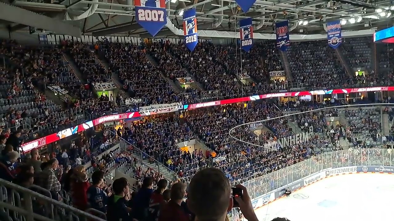 Adler Mannheim Fans feiern Derbysieg gegen die Löwen Frankfurt (28.10.2022)