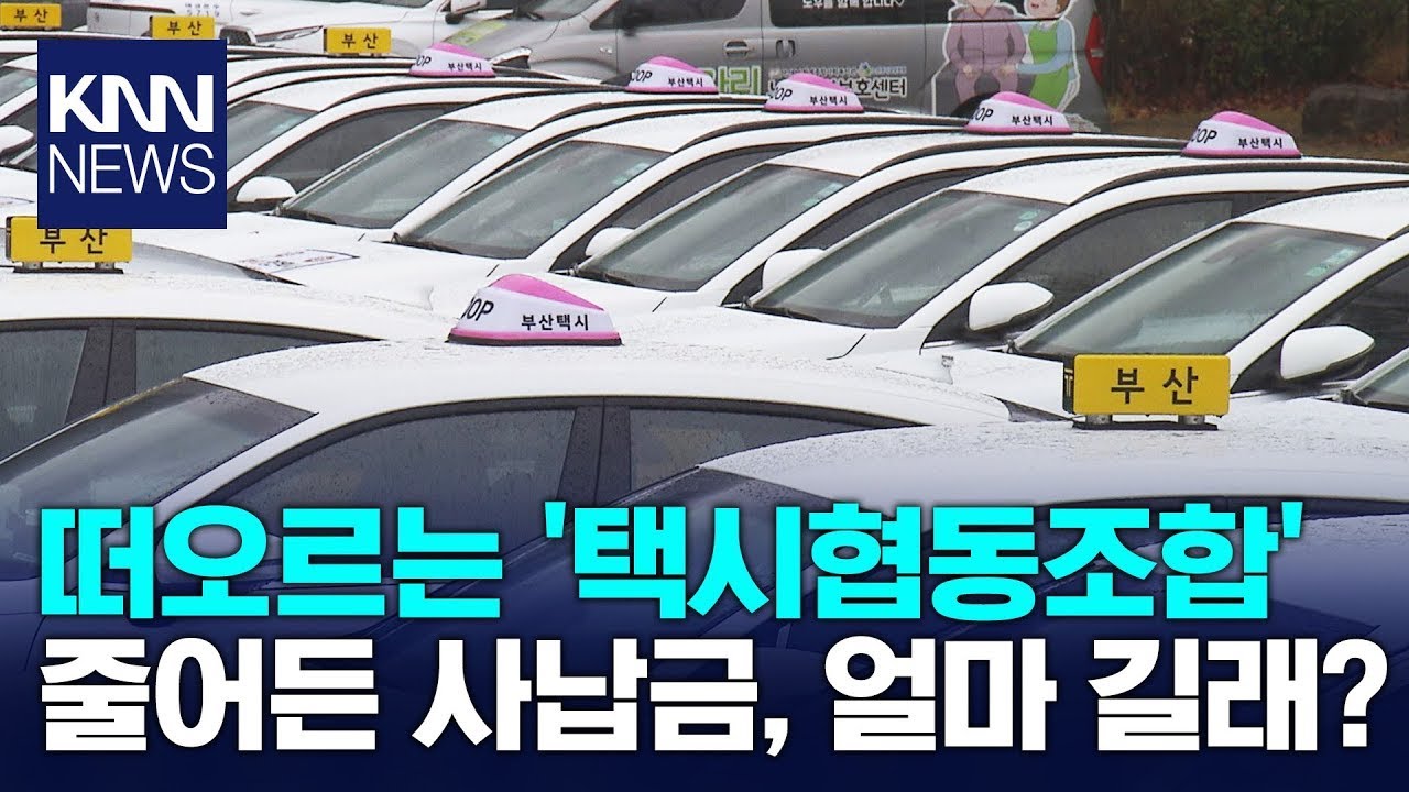 '택시협동조합' 정식운영 시작, 택시 기사 