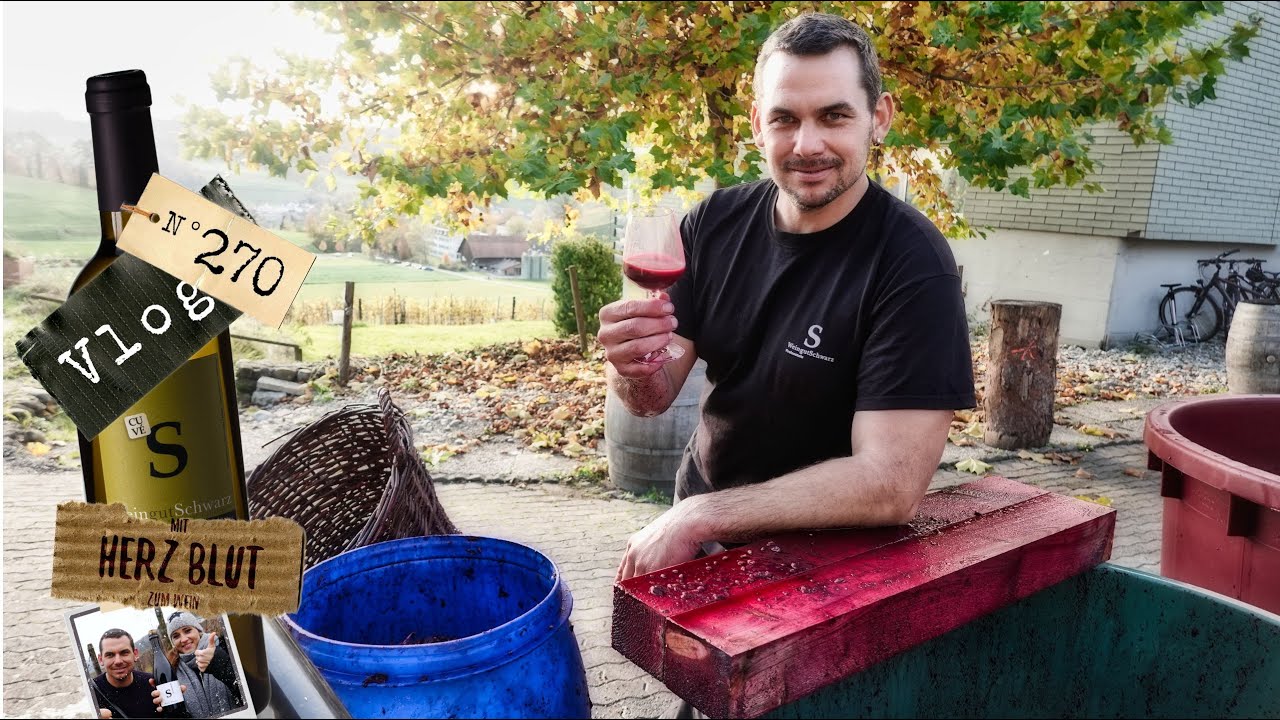 Trauben pressen wie früher | Wein wie dazumal | Weinvlog #270