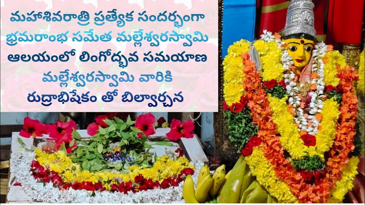 మహాశివరాత్రి ప్రత్యేక సందర్భంగా లింగోద్భవ సమయాణ మల్లేశ్వరస్వామి వారికి రుద్రాభిషేకం మండవల్లి #god#1m