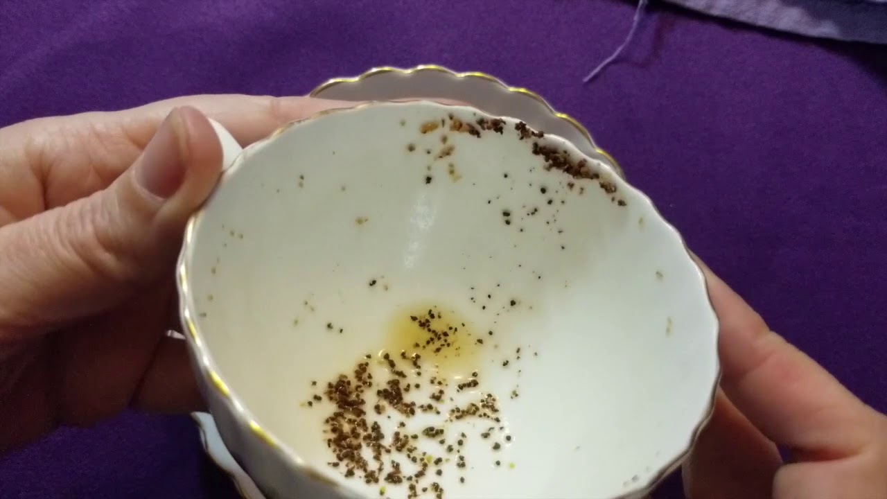 Tasseomancy/Tea Leaf Reading Demonstration