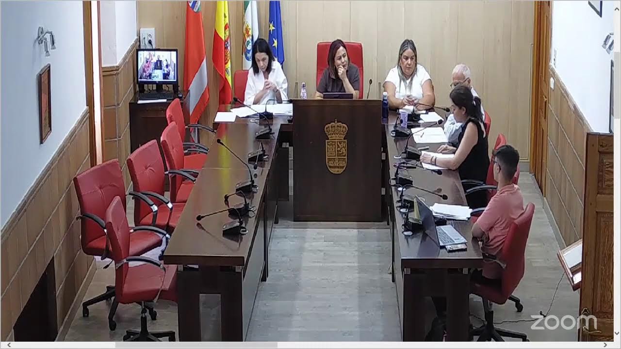 Pleno ordinario