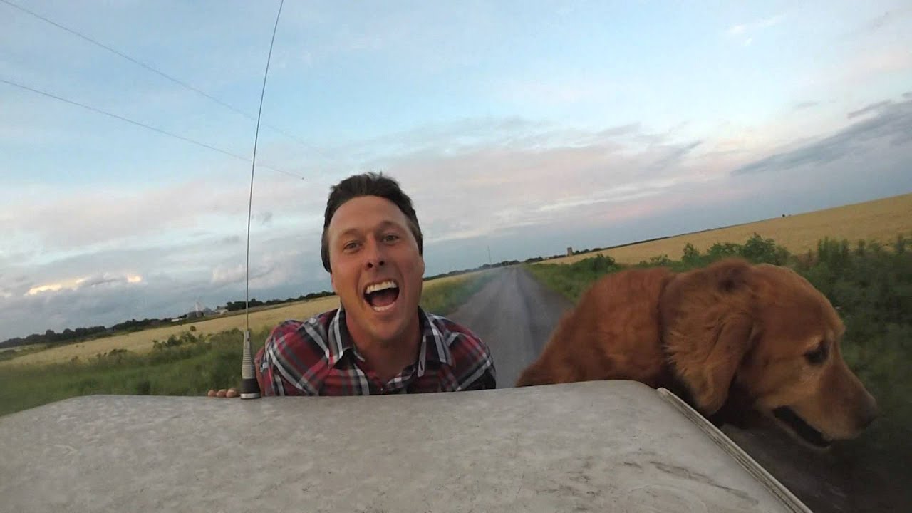 Farm Dog (Taylor Swift ft. Kendrick Lamar - 