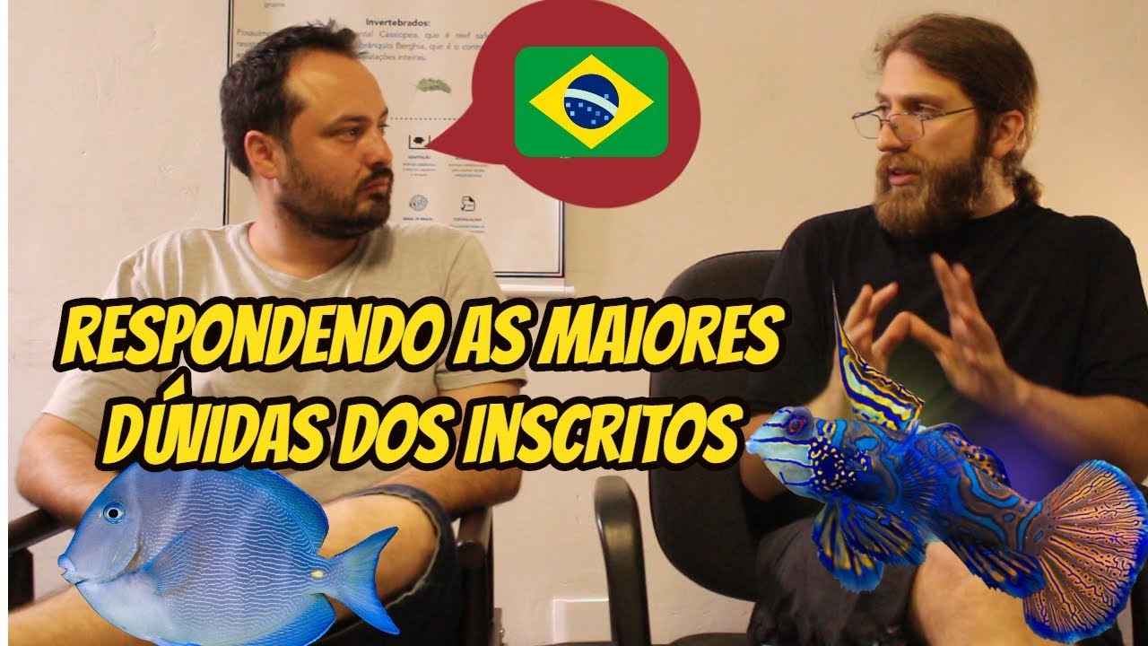 As Maiores Dúvidas Sobre DOENÇAS EM PEIXES DE AQUÁRIO MARINHO.