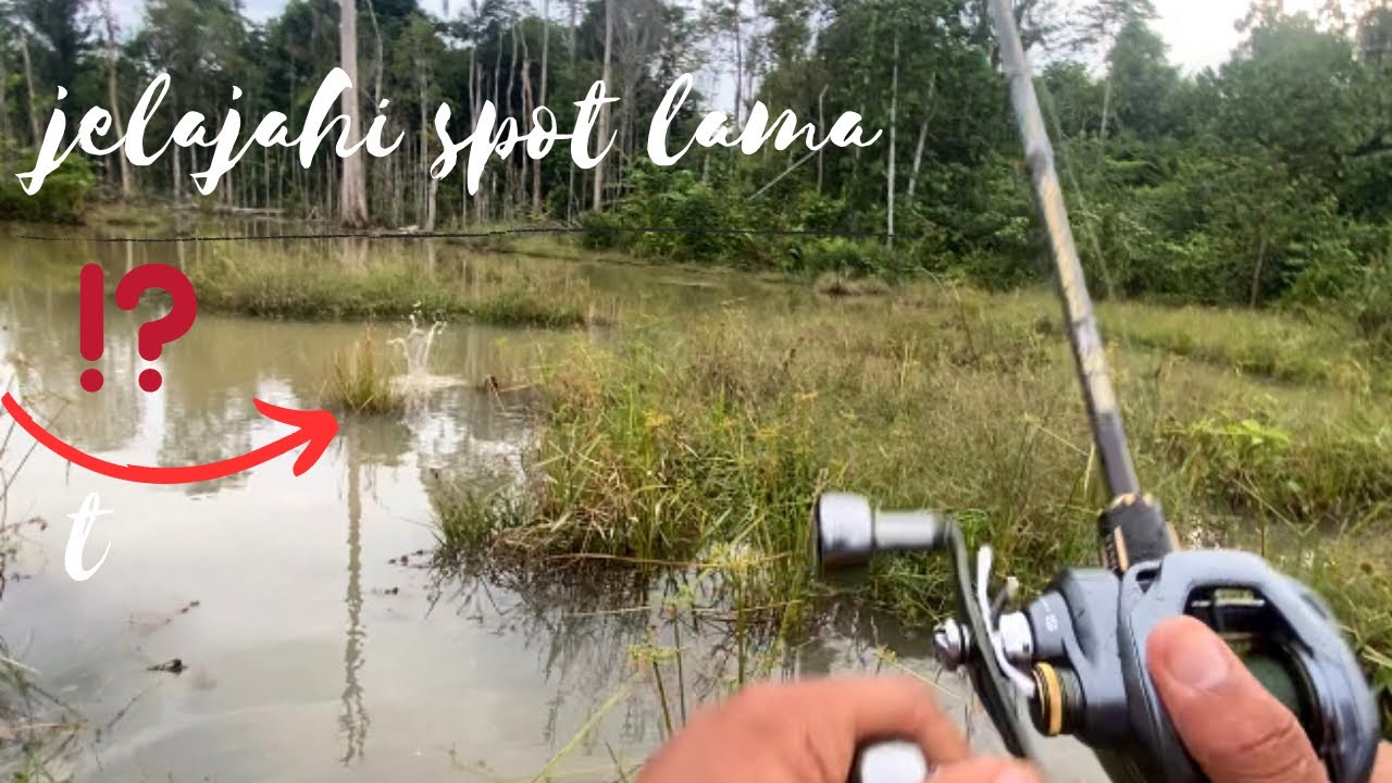 SPOT INI DULUNYA GACOR PARAH🔥❗️, apakah masih segacor dulu!!