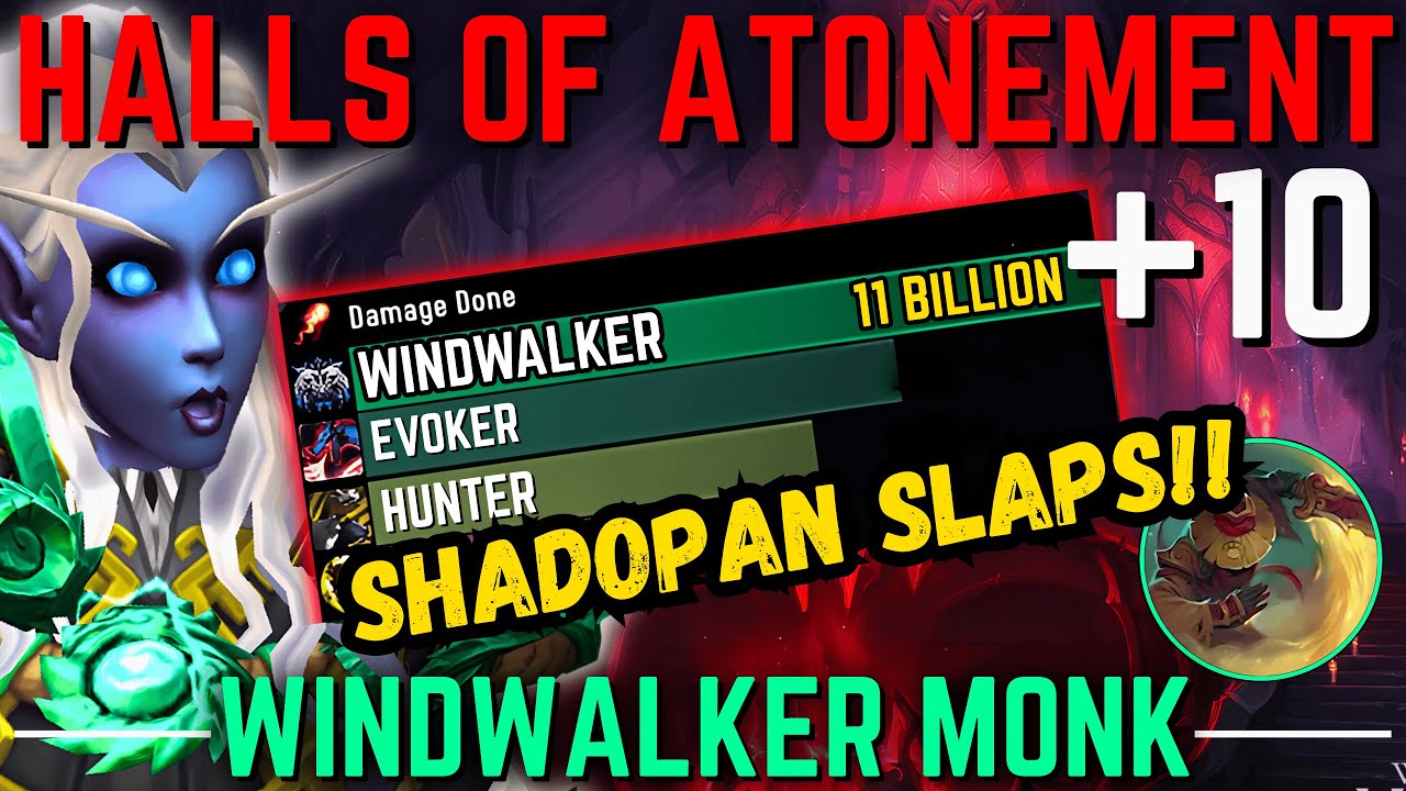 Shadopan GO BRRRRRR in Halls of Atonement | Windwalker Monk